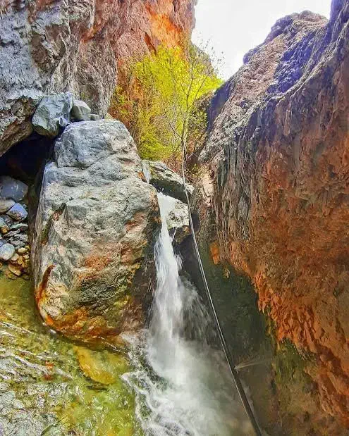 تور ۲ روزه کاشمر و ترانسفر رفت و برگشت|تور و چارتر|شاندیز, |دیوار