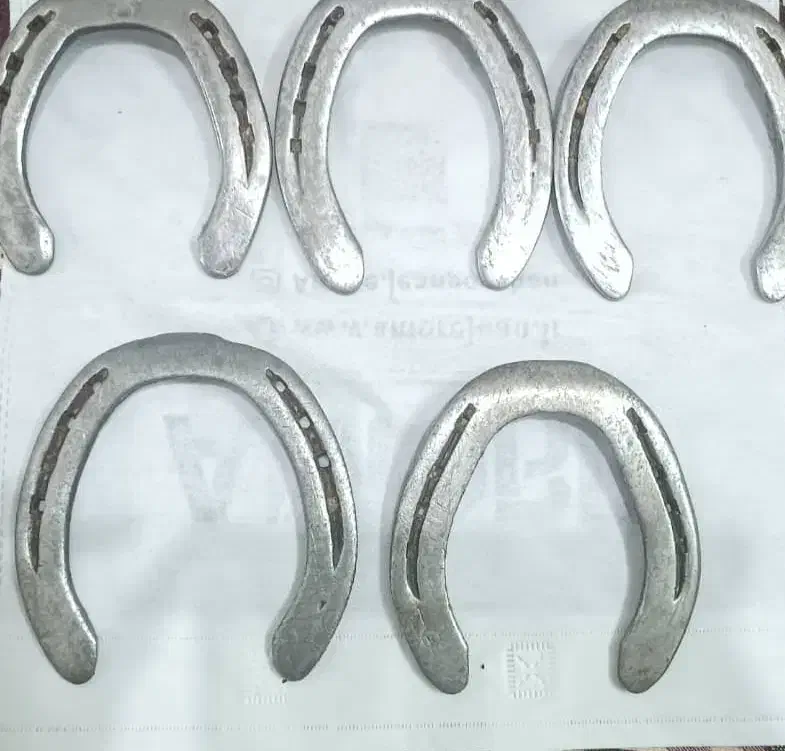 نعل پاخورده فولاد 400 گرمی|اسب و تجهیزات اسبسواری|مشهد, آزادشهر|دیوار