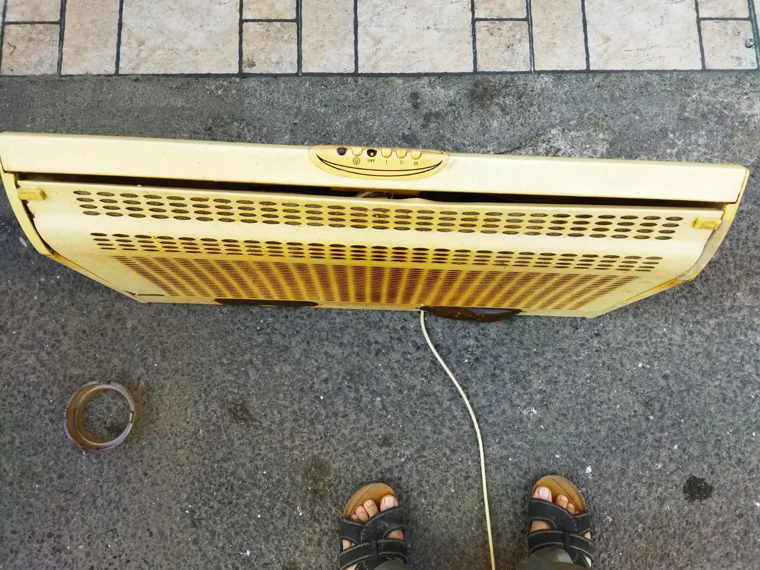 هود کتابی سالم تمیر|هود|بابل, |دیوار