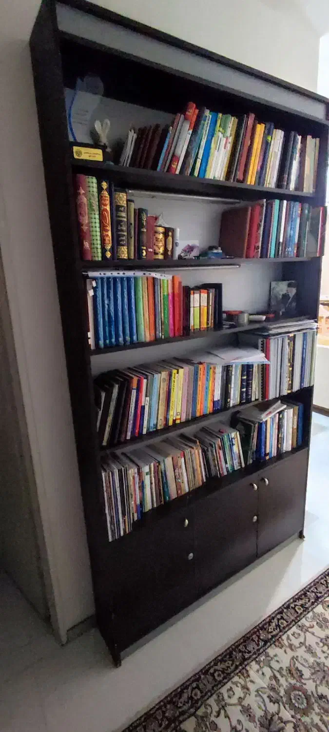 کتابخانه چوبی|کتابخانه، شلف، قفسه‌های دیواری|مشهد, تربیت (صدف)|دیوار