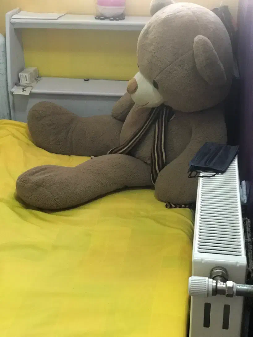 تخت یک. نفره|تخت و سرویس خواب|قم, انسجام|دیوار