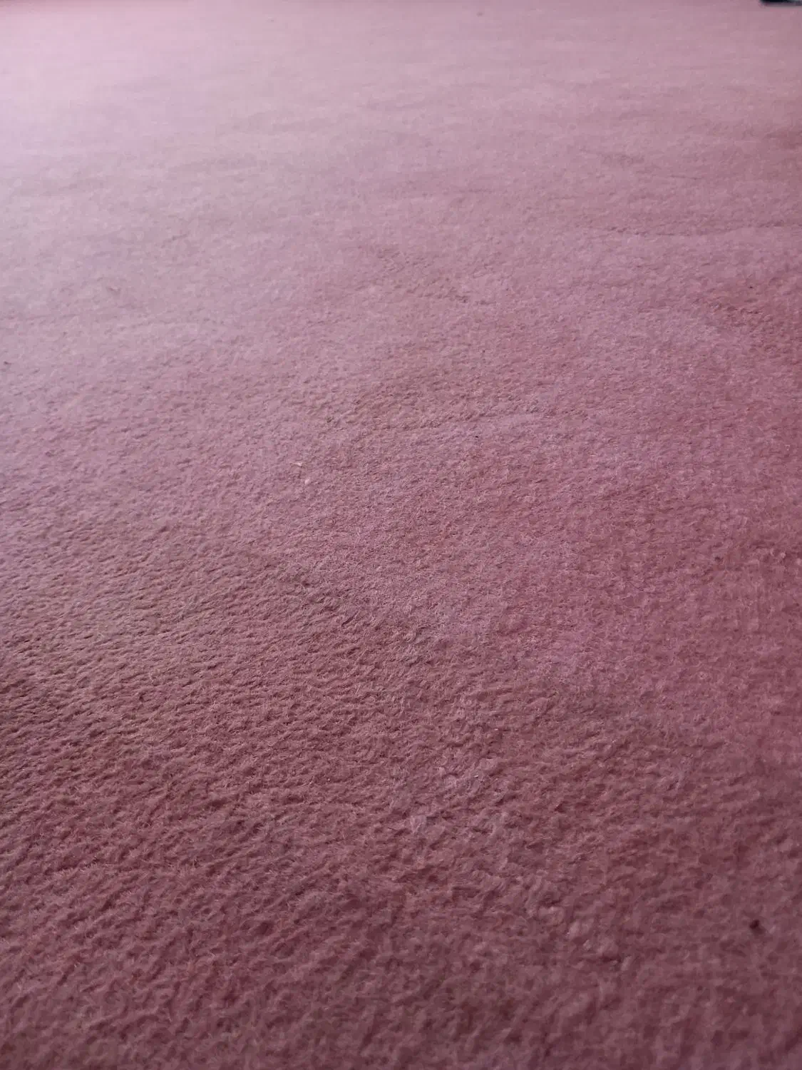 موکت اتاق خواب|موکت|زنجان, |دیوار