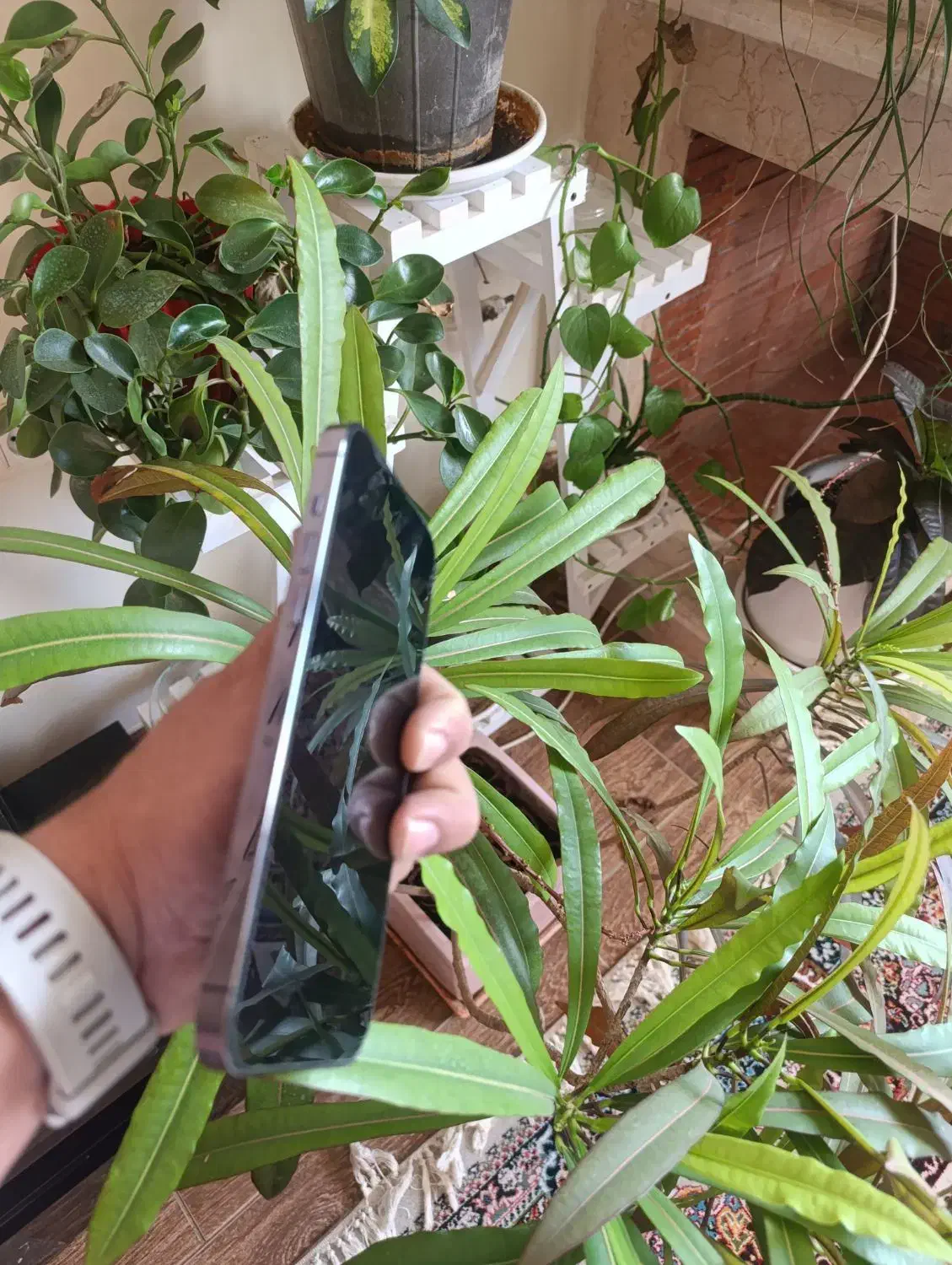 آیفون ۱۴پرومکس ۱۲۸|موبایل|شیراز, شهرک بزین|دیوار