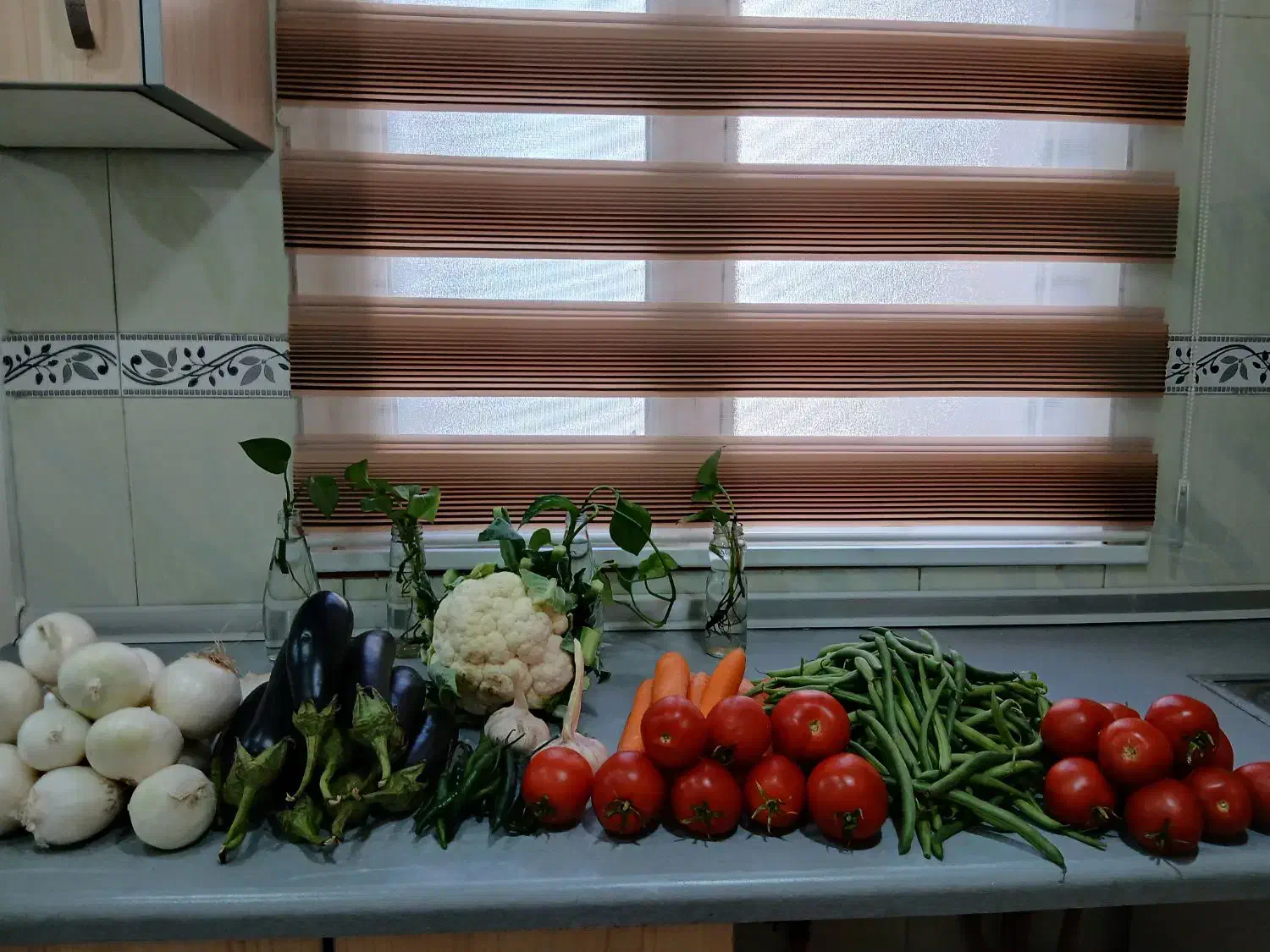 محصولات خانگی|خوردنی و آشامیدنی|تهران, مسعودیه|دیوار