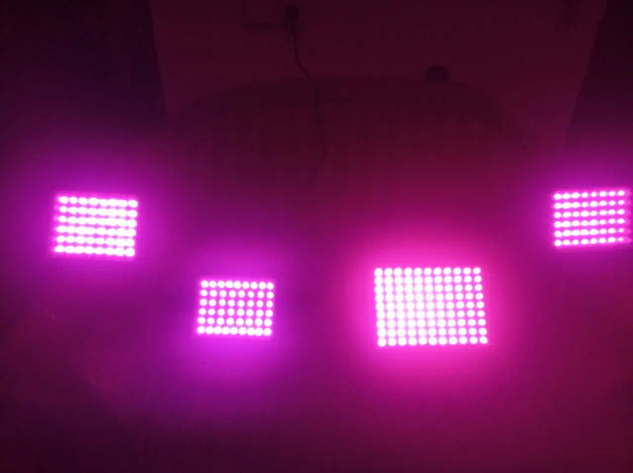 4عدد پرژکتور خیلی قوی بنفش|لامپ و چراغ|شاهینشهر, گزبرخوار|دیوار