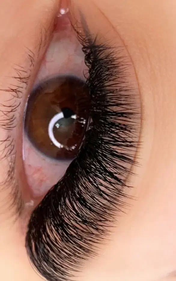 اکستنشن و لیفت مژه و ابرو|خدمات آرایشگری و زیبایی|سبزوار, امیر کبیر|دیوار