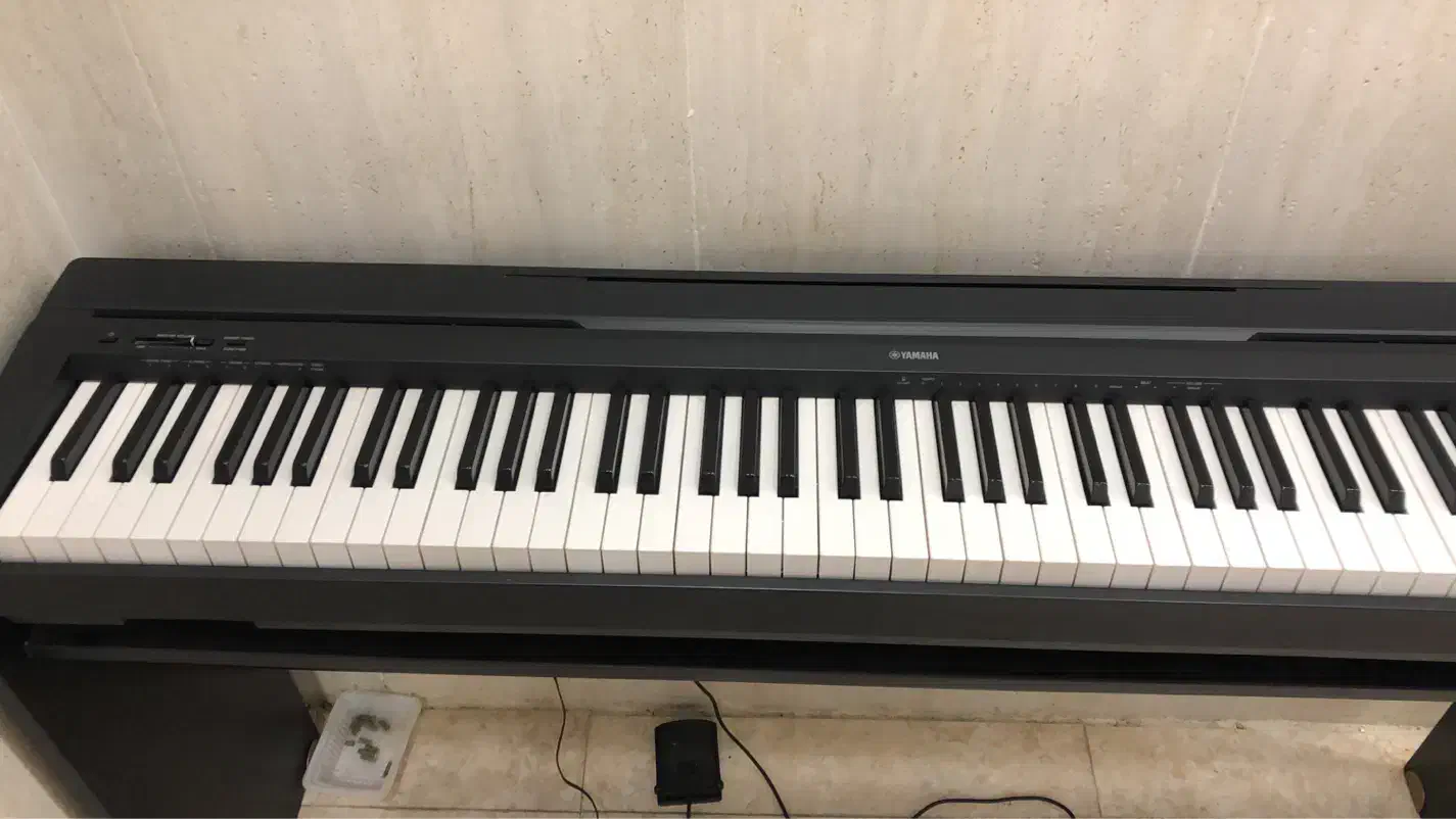 آداپتورپیانو|پیانو، کیبورد، آکاردئون|اهواز, شهرک برق|دیوار