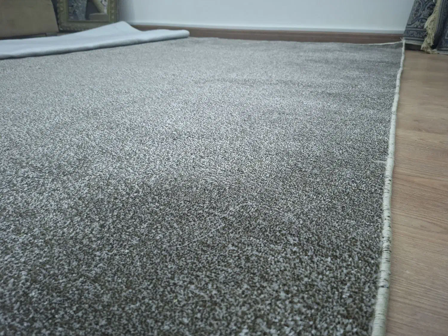 موکت|موکت|قزوین, |دیوار