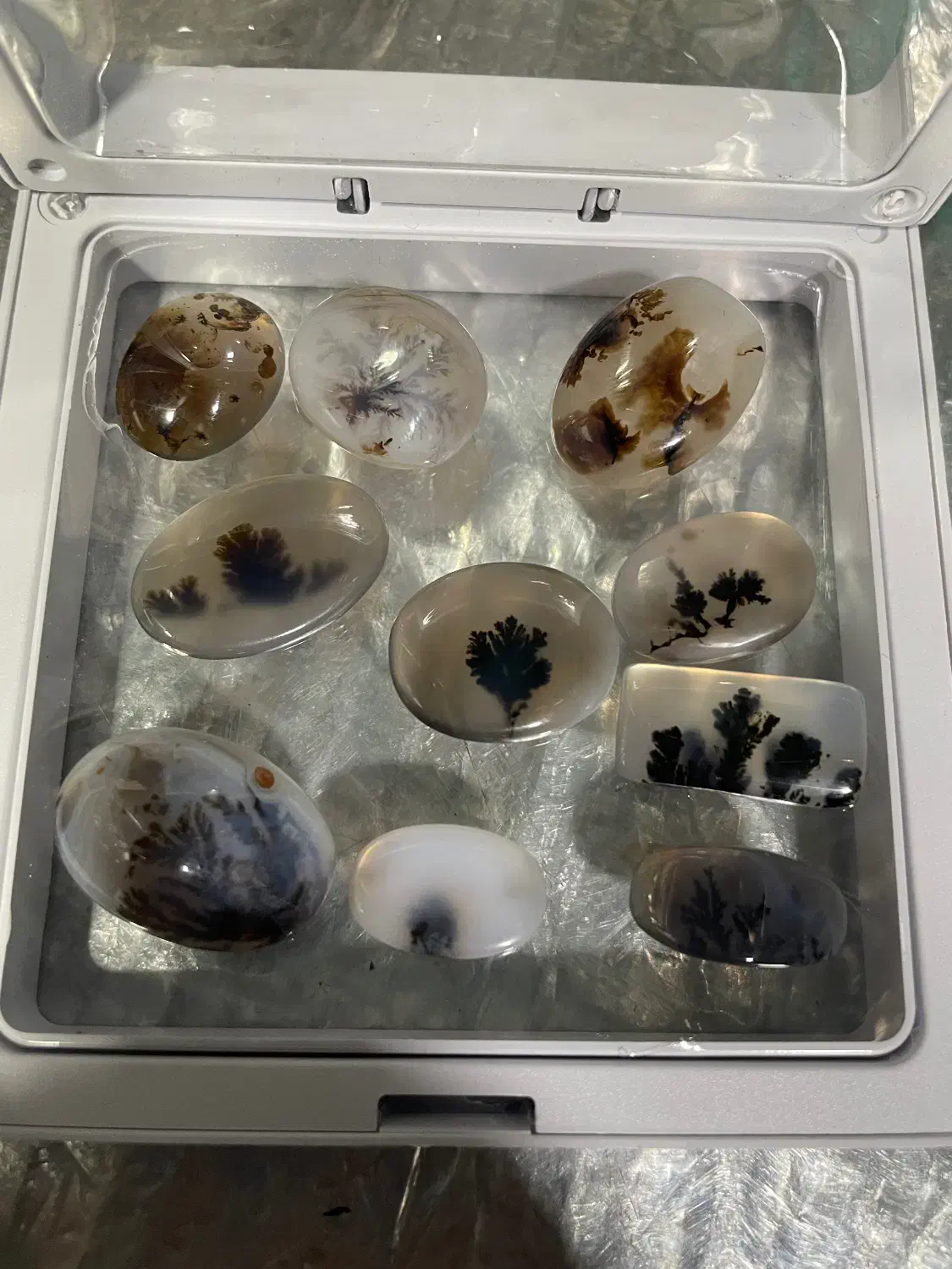 شجر های زیبا|کلکسیون اشیاء عتیقه|لاهیجان, شیخ زاهد|دیوار