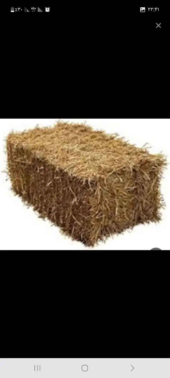 کاه جو و گندن سامان|لوازم جانبی حیوانات|تالش, جوکندان|دیوار