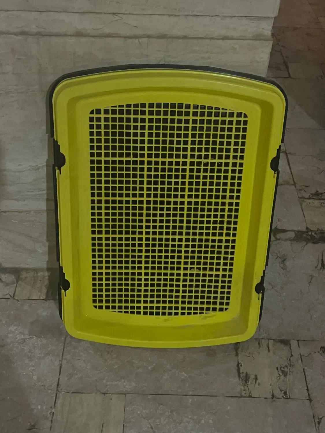 توالت سگ|لوازم جانبی حیوانات|کیش, |دیوار