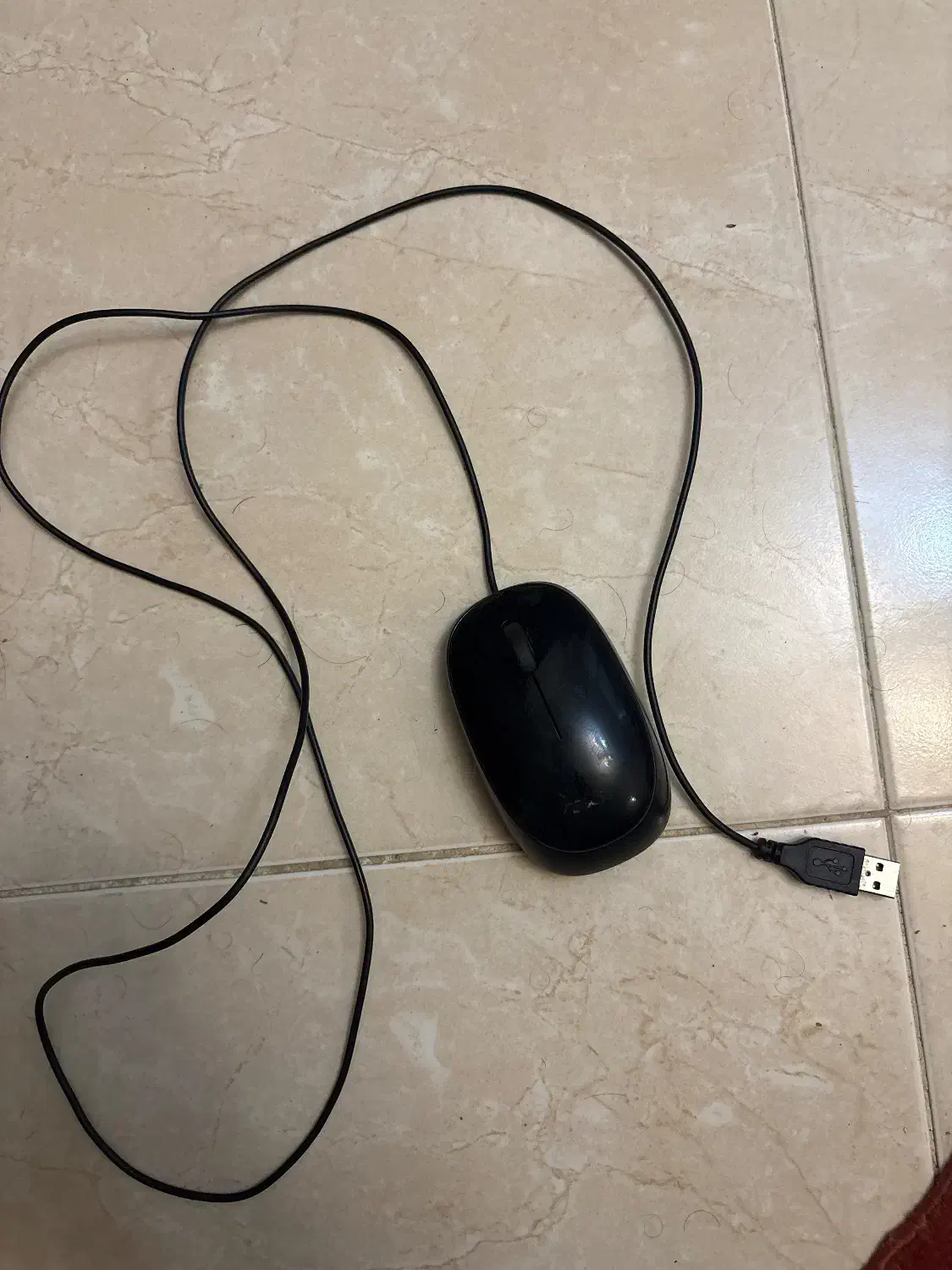 موس فابریک ایسوس|قطعات و لوازم جانبی رایانه|تهران, گلستان (شهرک راه آهن)|دیوار