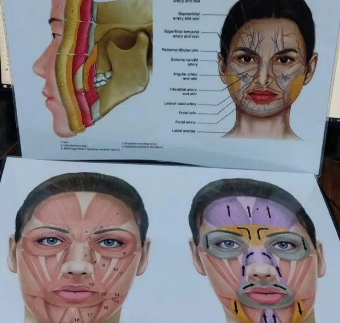 آموزش فشیال طب سنتی فیلر ژل بوتاکس نخ لیفت لیزر مو|خدمات آموزشی|اصفهان, باغ زرشک|دیوار