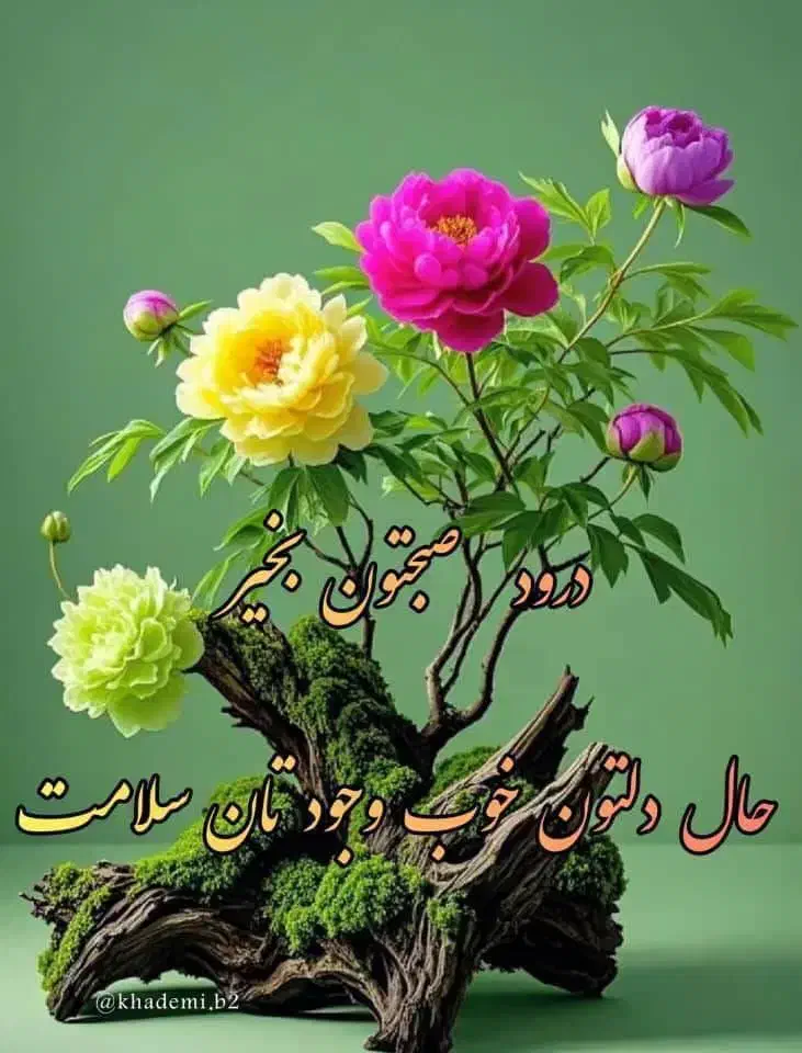 مسافر|خدمات حمل و نقل|ایرانشهر, |دیوار