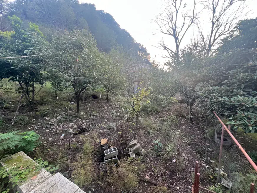 زمین ۲۲۰ مترمسکونی درحیران بهارستان،کنار جاده اصلی|فروش زمین و ملک کلنگی|آستارا, |دیوار