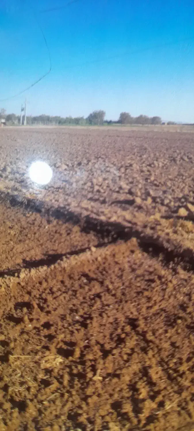 زمین زراعی|اجارهٔ دفتر صنعتی، کشاورزی، تجاری|عجب شیر, |دیوار