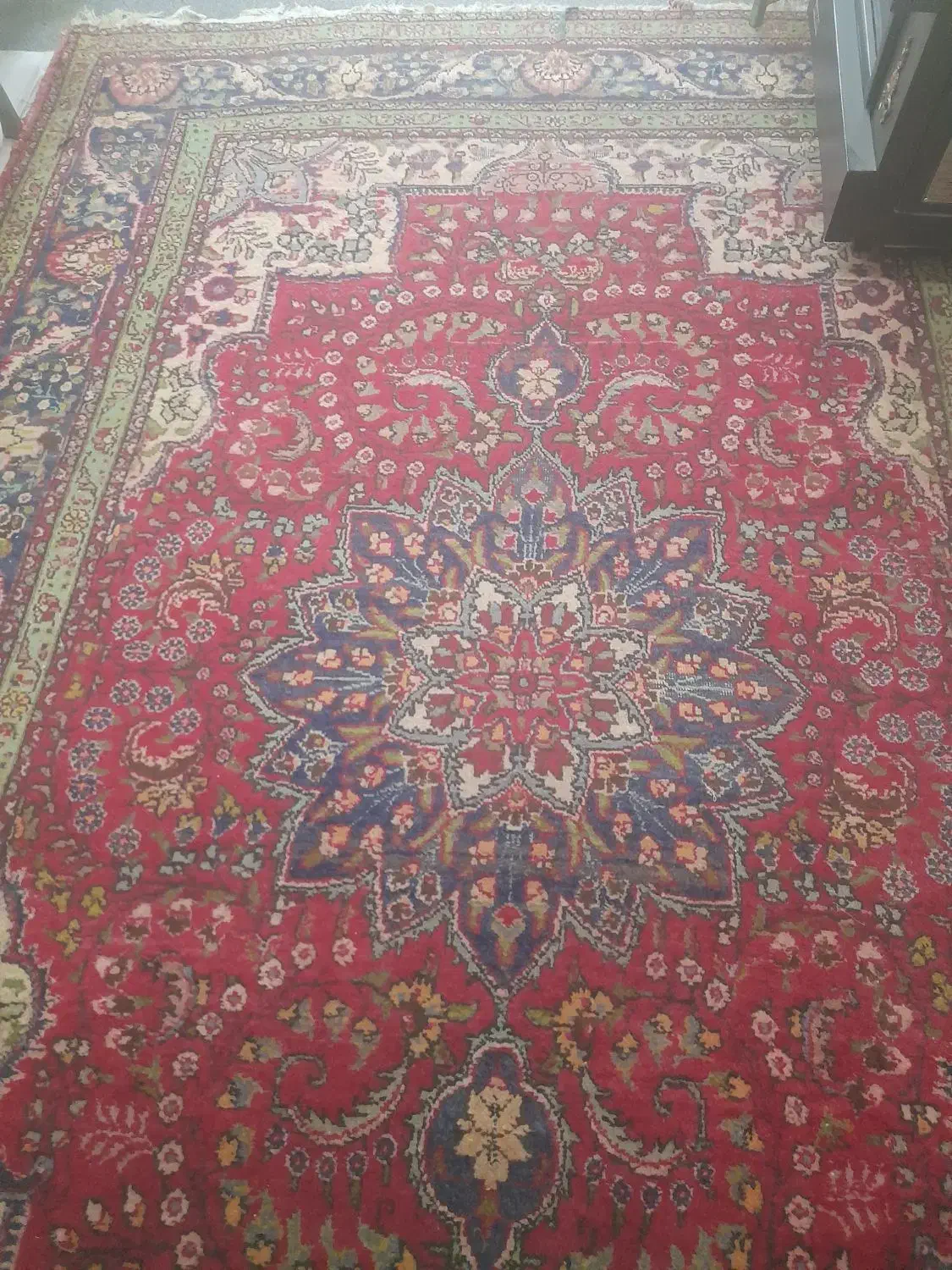 فرش دستباف|فرش|میاندوآب, |دیوار