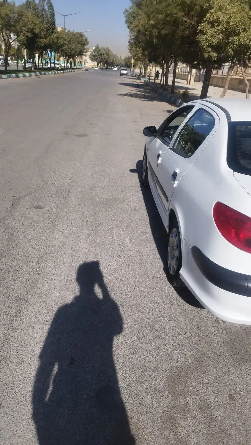 پژو 206 SD V8، مدل ۱۳۹۳ اتاق تعوض 1402|خودرو سواری و وانت|هرسین, |دیوار