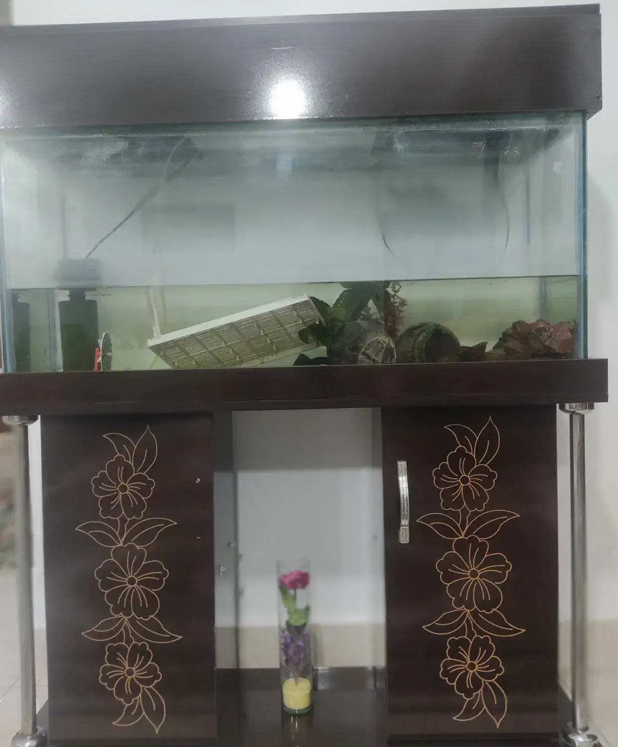 آکواریوم|ماهی|گرگان, |دیوار