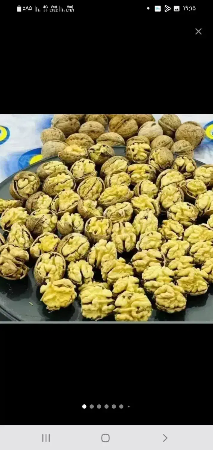 گردو بوانات درجه یک سوپر به قیمت عمده|خوردنی و آشامیدنی|شیراز, شهرک گلستان|دیوار