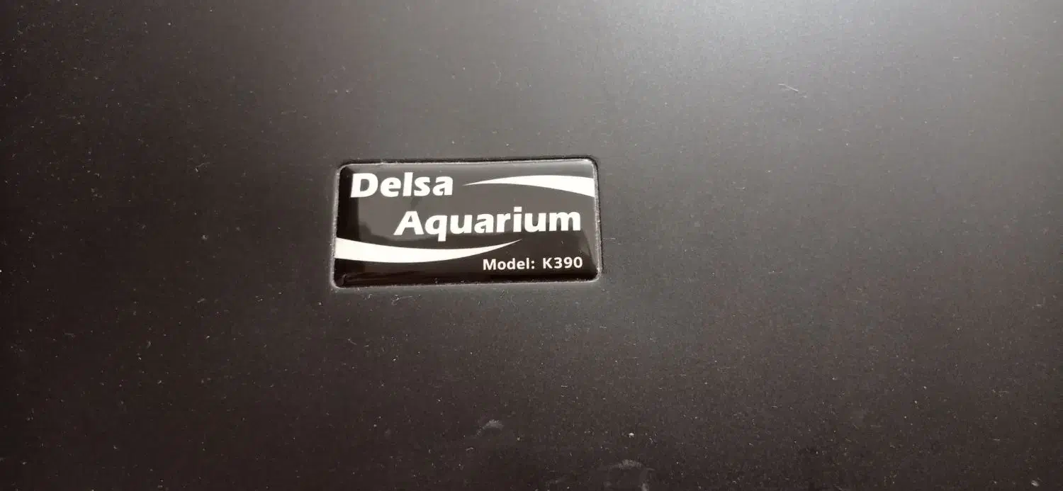 آکواریوم|ماهی|زابل, |دیوار