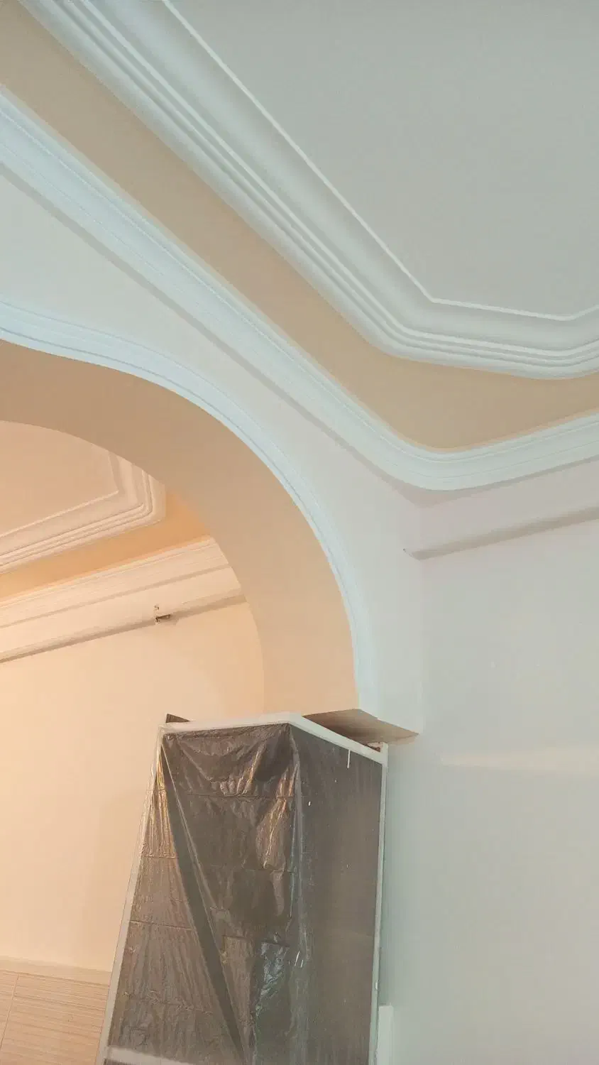 نقاشی و رنگ آمیزی ساختمان|خدمات پیشه و مهارت|ارومیه, |دیوار