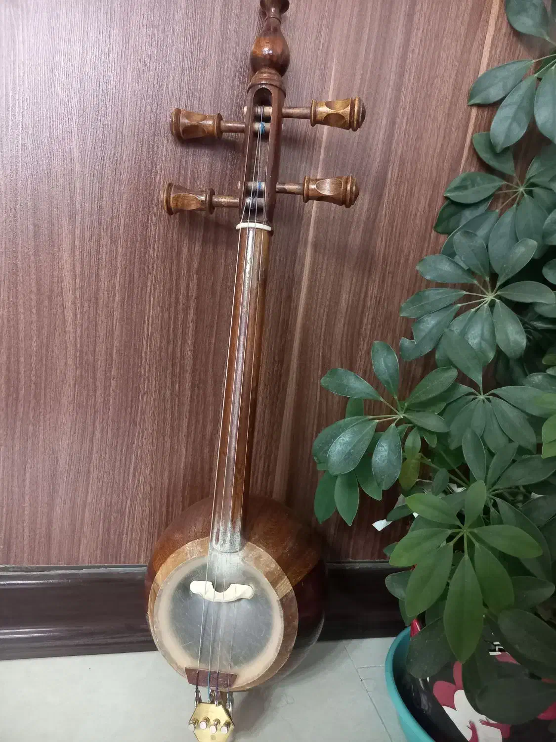 کمانچه ۳/۴ ، بکطاش|سازهای سنتی|نجفآباد, یزدانشهر|دیوار