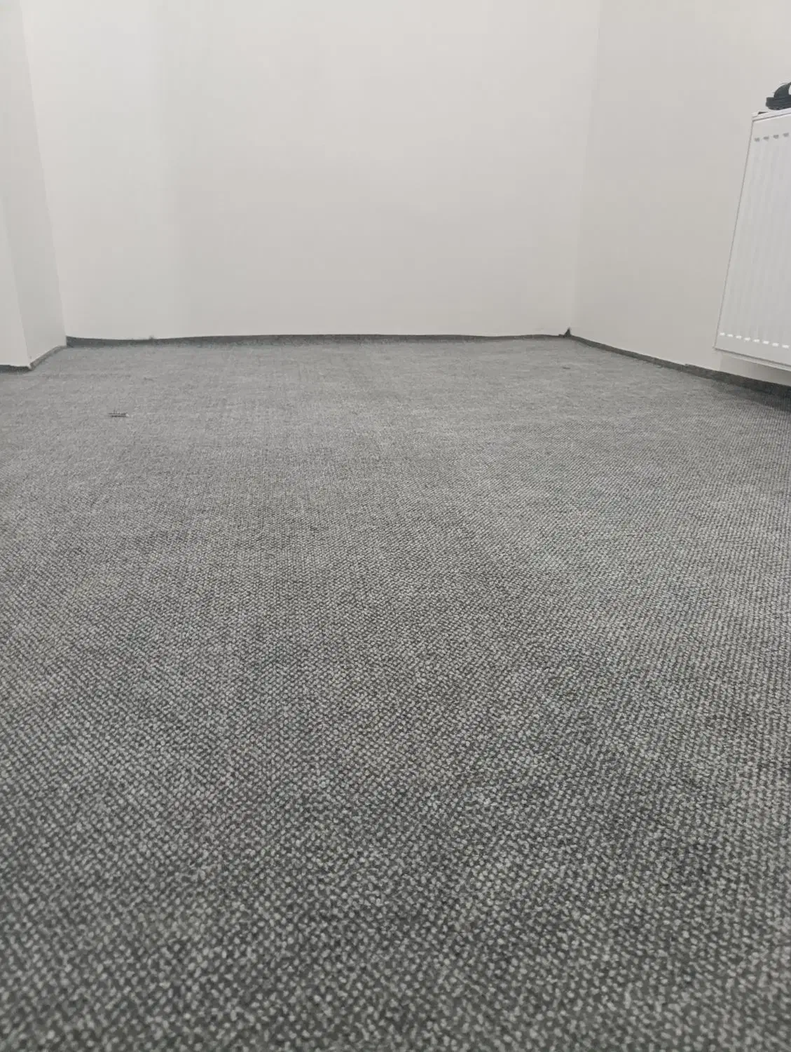 موکت دو لایه  زخیم|موکت|تبریز, |دیوار