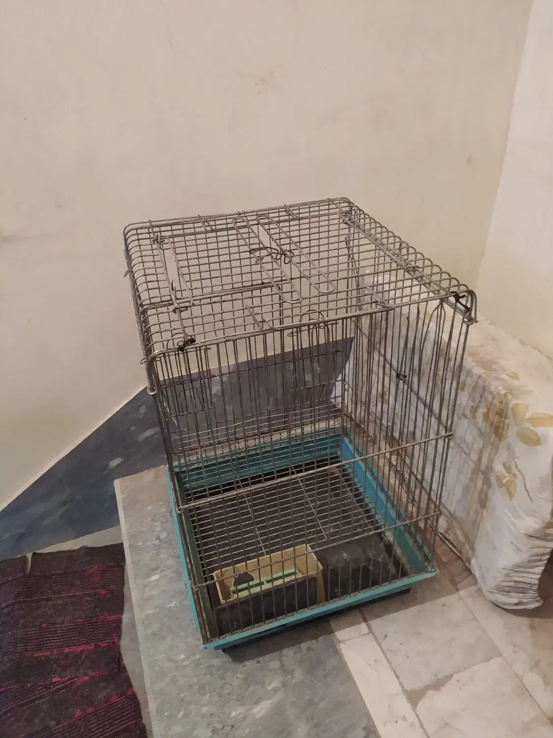 قفس پرنده|لوازم جانبی حیوانات|پاکدشت, حصار امیر|دیوار