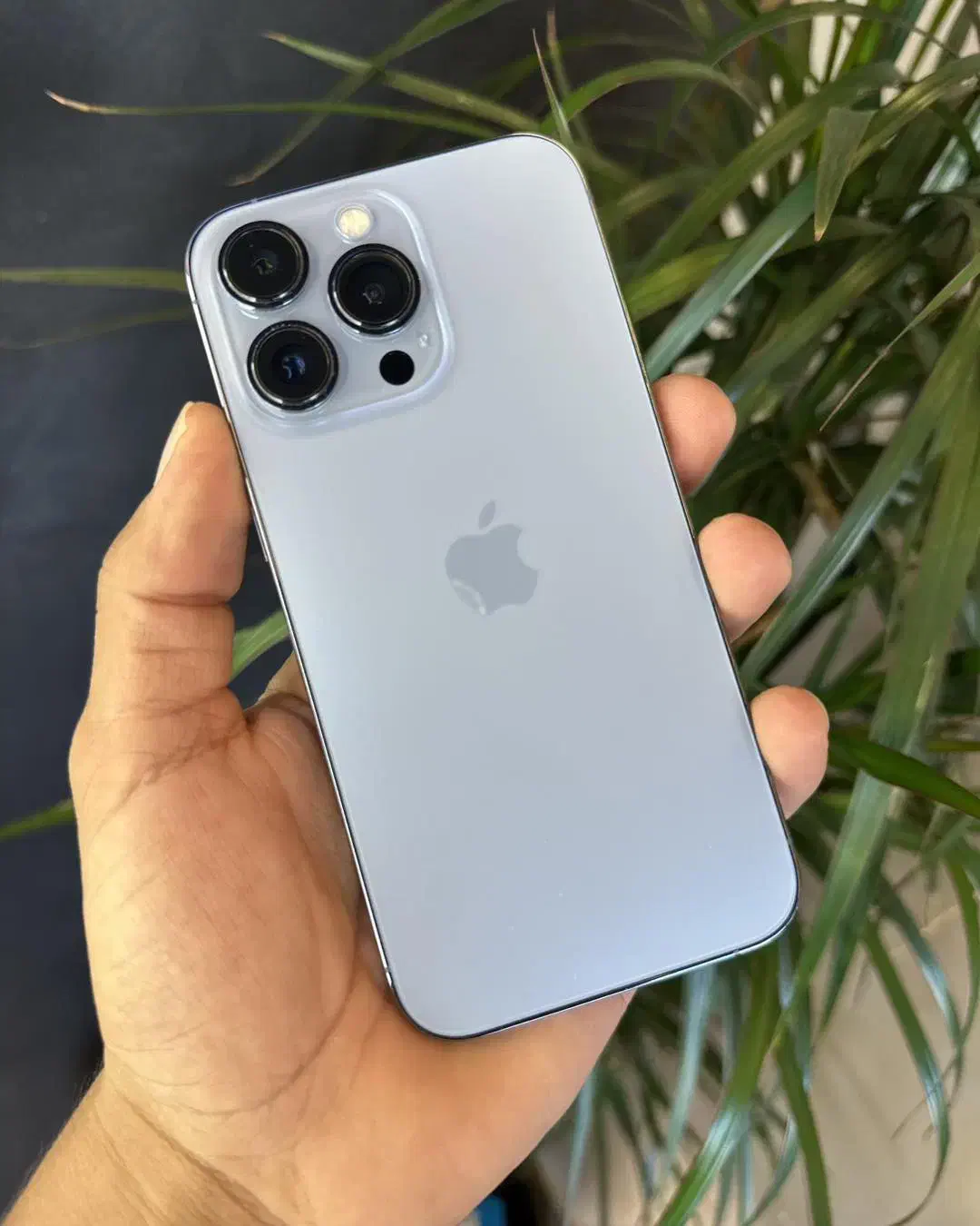 آیفون 13pro -۱۳پرو|موبایل|نیشابور, امام|دیوار