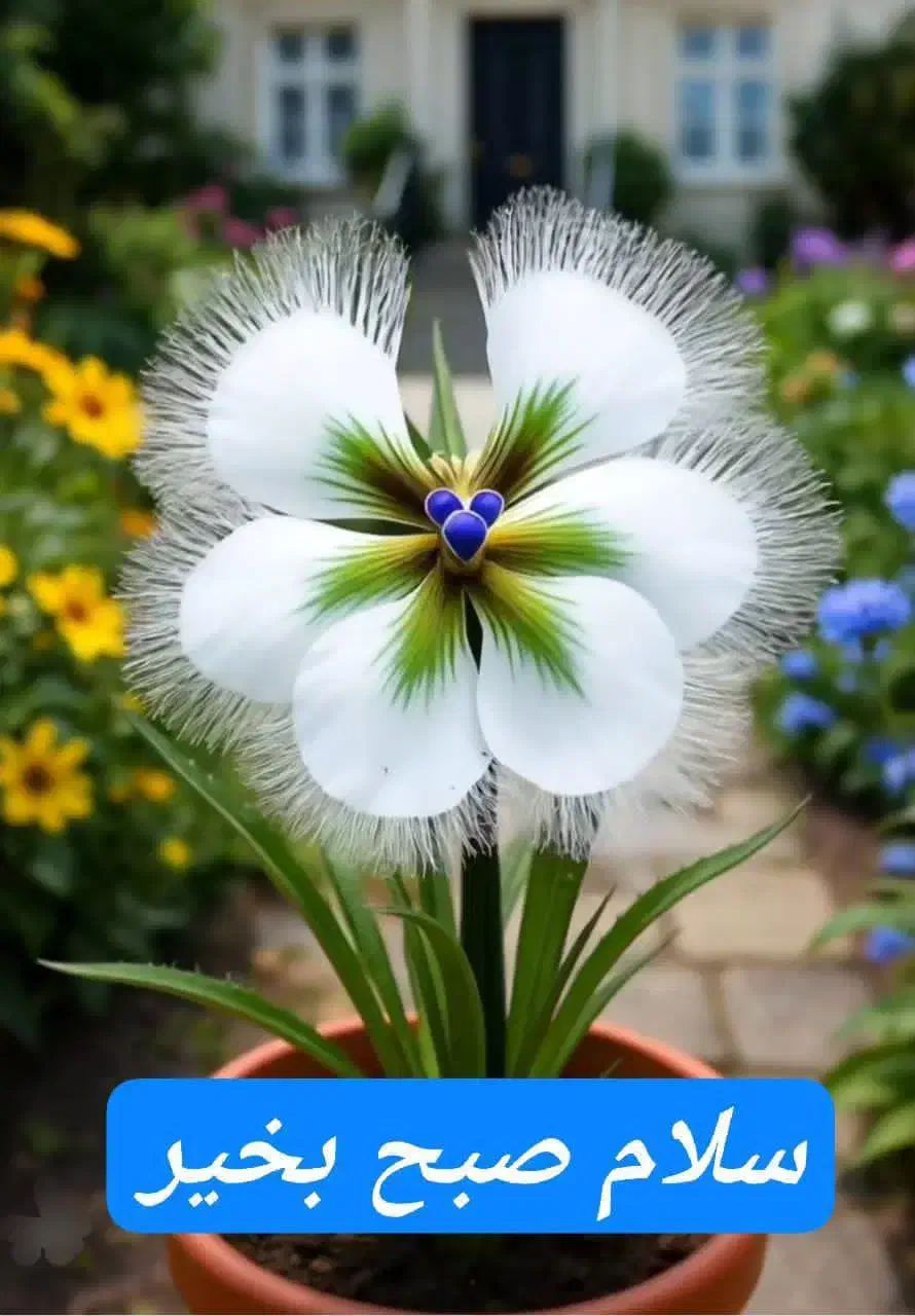 وام 100 میلیونی|فعالیت داوطلبانه|زرند, |دیوار