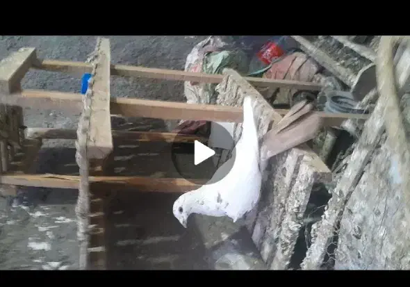 تابلو|تابلو، نقاشی، عکس|فردوس (خراسان), |دیوار