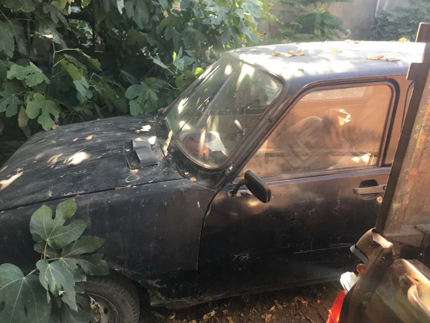 رنو۵|خودرو سواری و وانت|گرگان, |دیوار