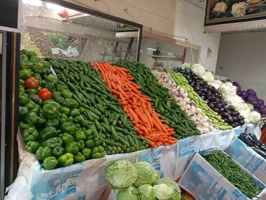 استخدام راننده با وانت|استخدام حمل و نقل|شیراز, قصرالدشت|دیوار