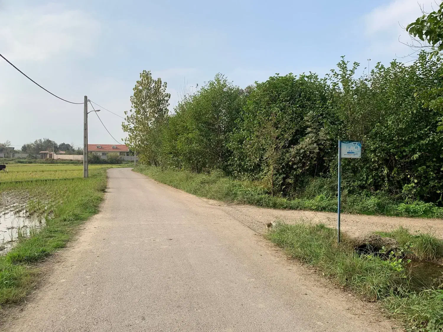 فروش زمین مسکونی|فروش زمین و ملک کلنگی|شفت, |دیوار