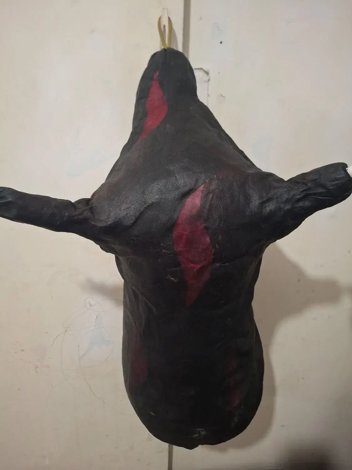 نیهمون|سازهای بادی|بوشهر, |دیوار