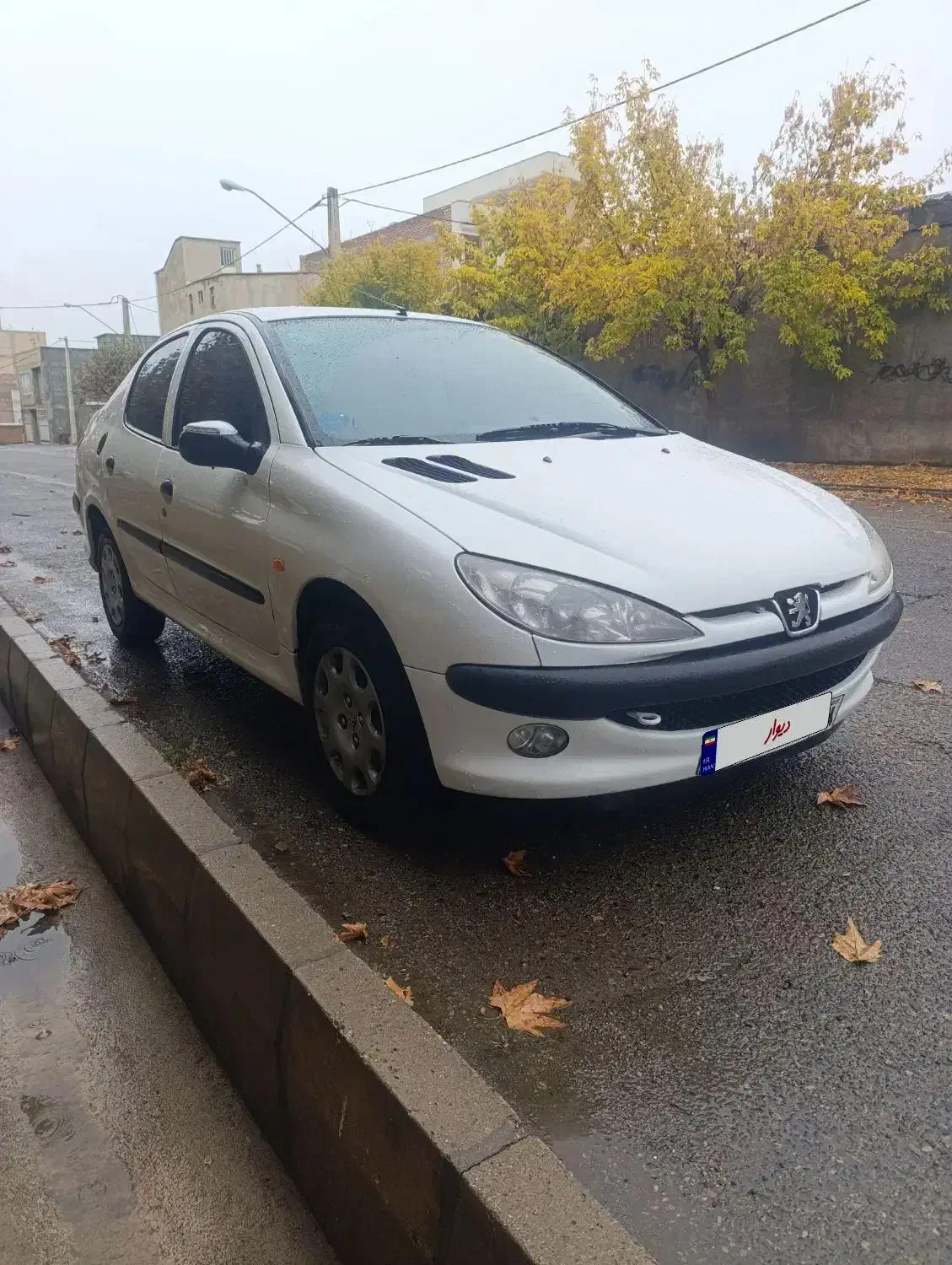 206 SD مدل 92|خودرو سواری و وانت|شاهین دژ, |دیوار