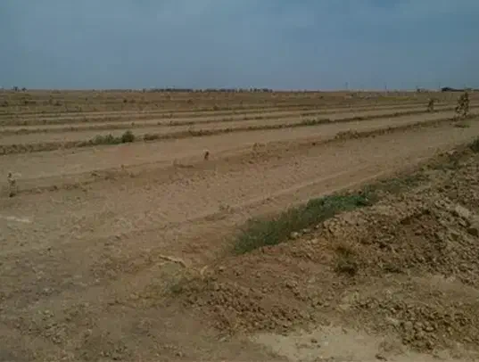 زمین در گلبهار|فروش زمین و ملک کلنگی|گلمکان, |دیوار