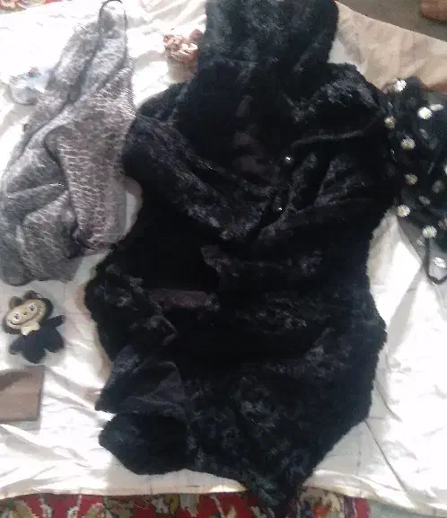 انواع لباس  کیف کفش نودرحد نو شیک خاص پسندان|لباس|شوشتر, |دیوار