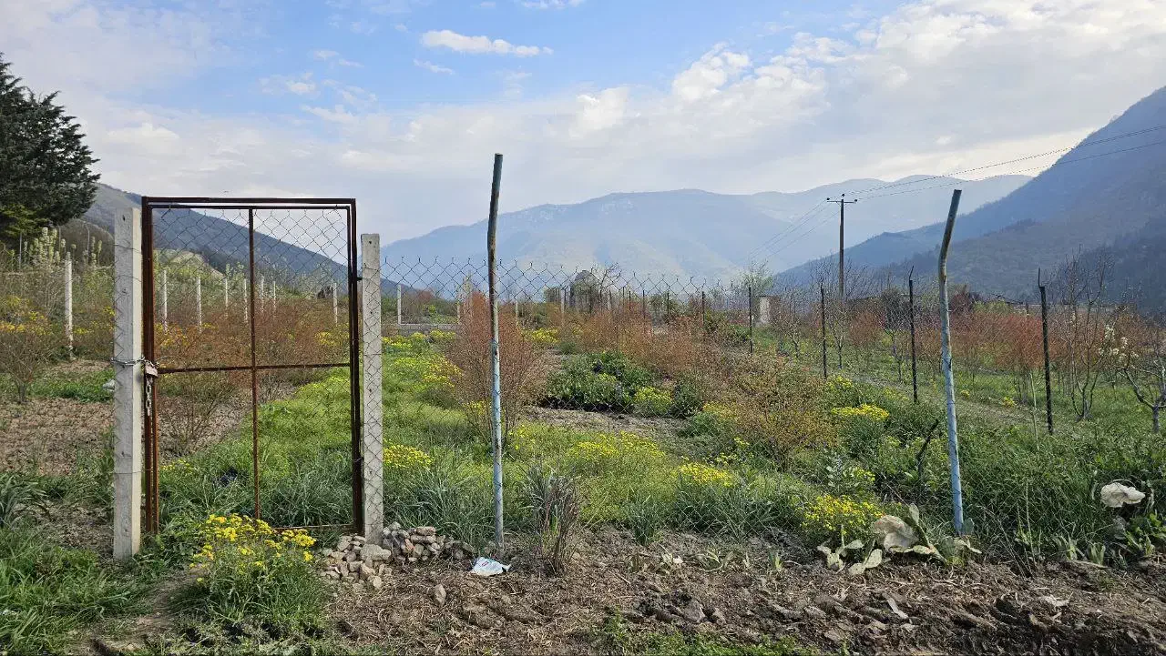 زمین باقرآباد رامیان|فروش زمین و ملک کلنگی|رامیان, |دیوار