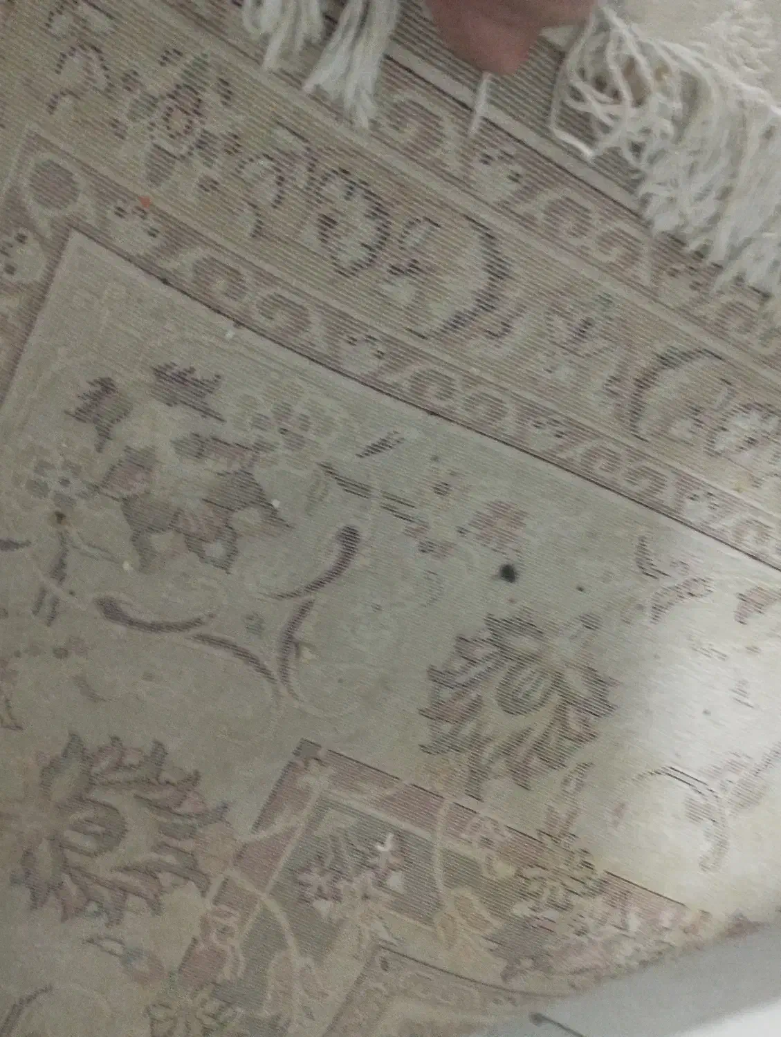 فرش، کار کزده|فرش|گرمسار, |دیوار