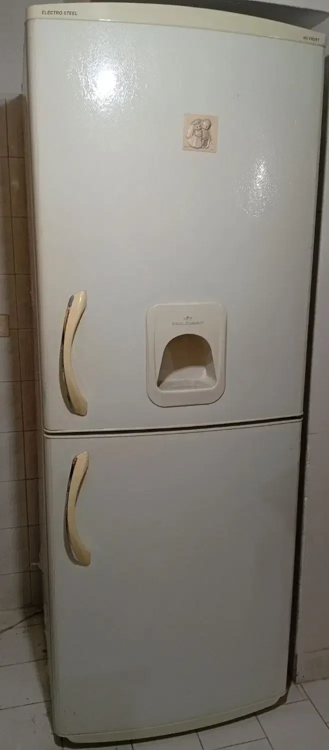 دو عدد یخچال فریزر الکترو استیل|یخچال و فریزر|مشهد, الهیه|دیوار