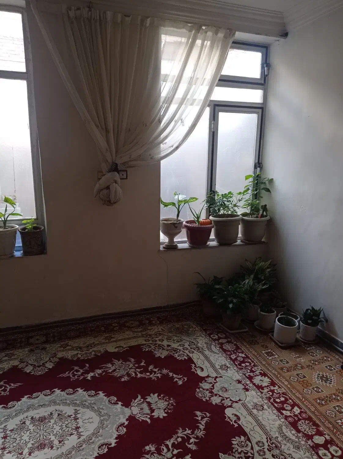 خانه اجاره ای|اجارهٔ خانه و ویلا|مشگین شهر, |دیوار