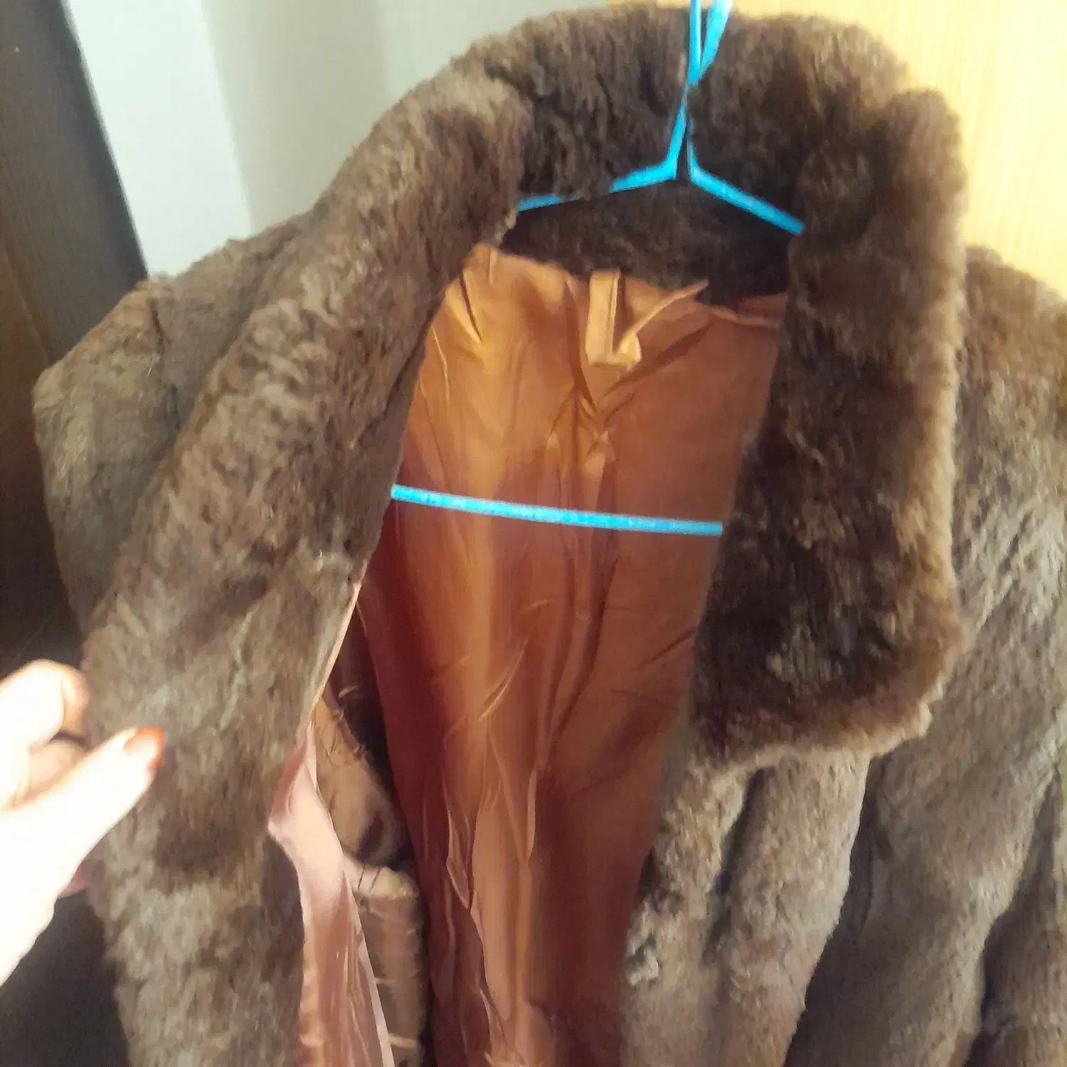 پالتو زنانه قهوه ای|لباس|تهران, دبستان|دیوار