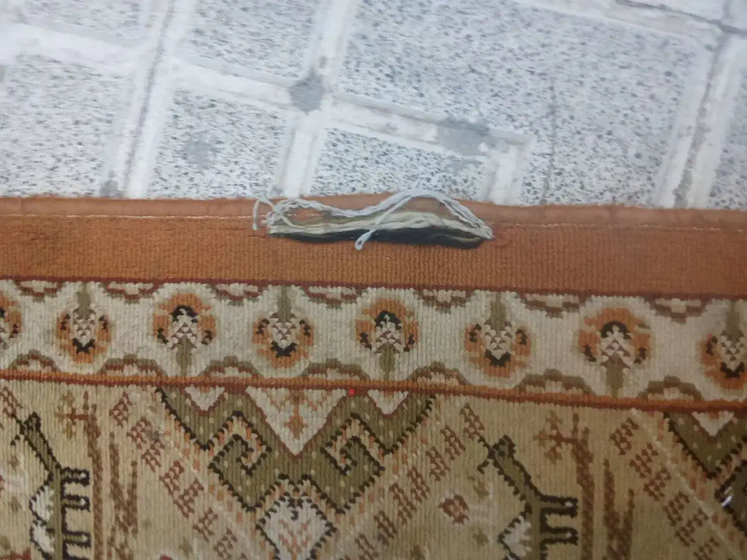 قالیچه گلیمی|گلیم، جاجیم، گبه|مشهد, رضاشهر|دیوار