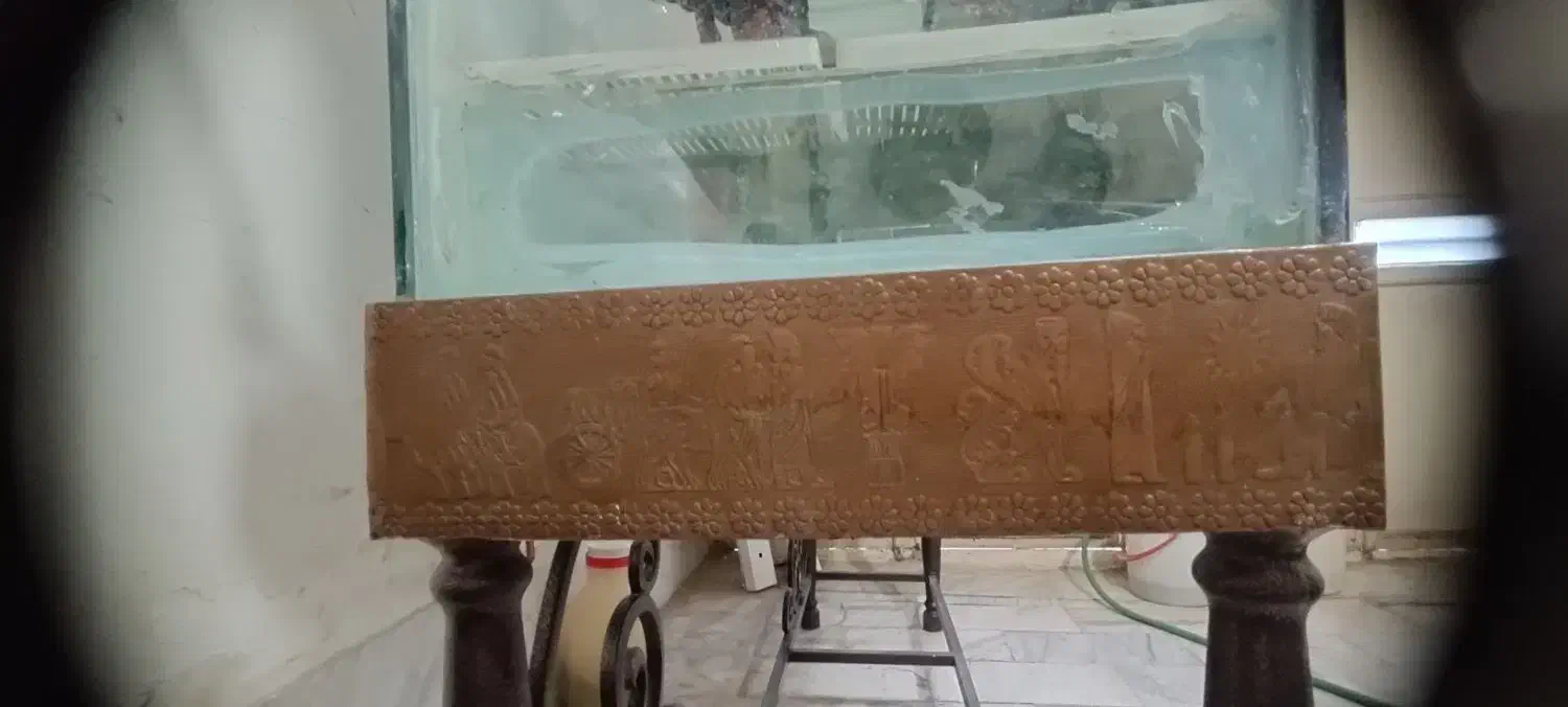 آکواریوم درجه یک|ماهی|بروجرد, |دیوار