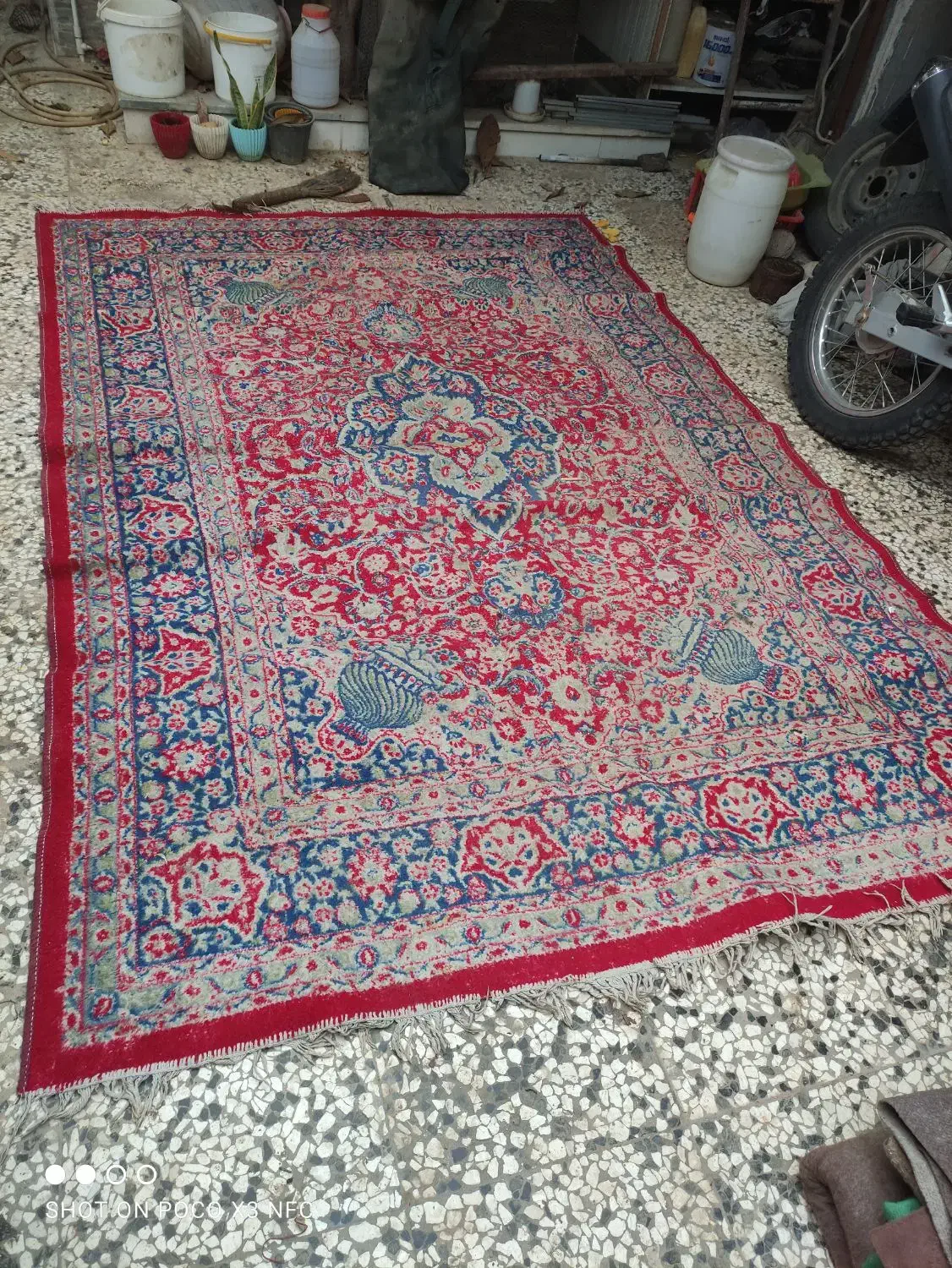 فرش 2در3 و موکت و نمد|فرش|گنبد کاووس, |دیوار