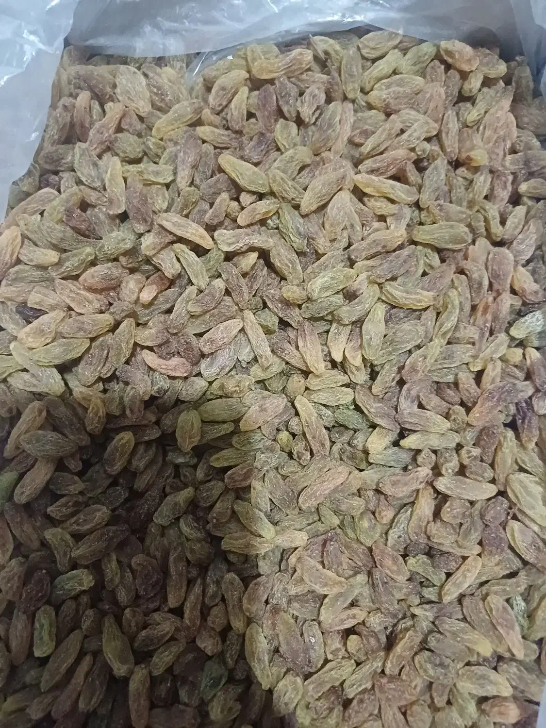 کشمش سبز قلمی|خوردنی و آشامیدنی|مشهد, کوثر|دیوار