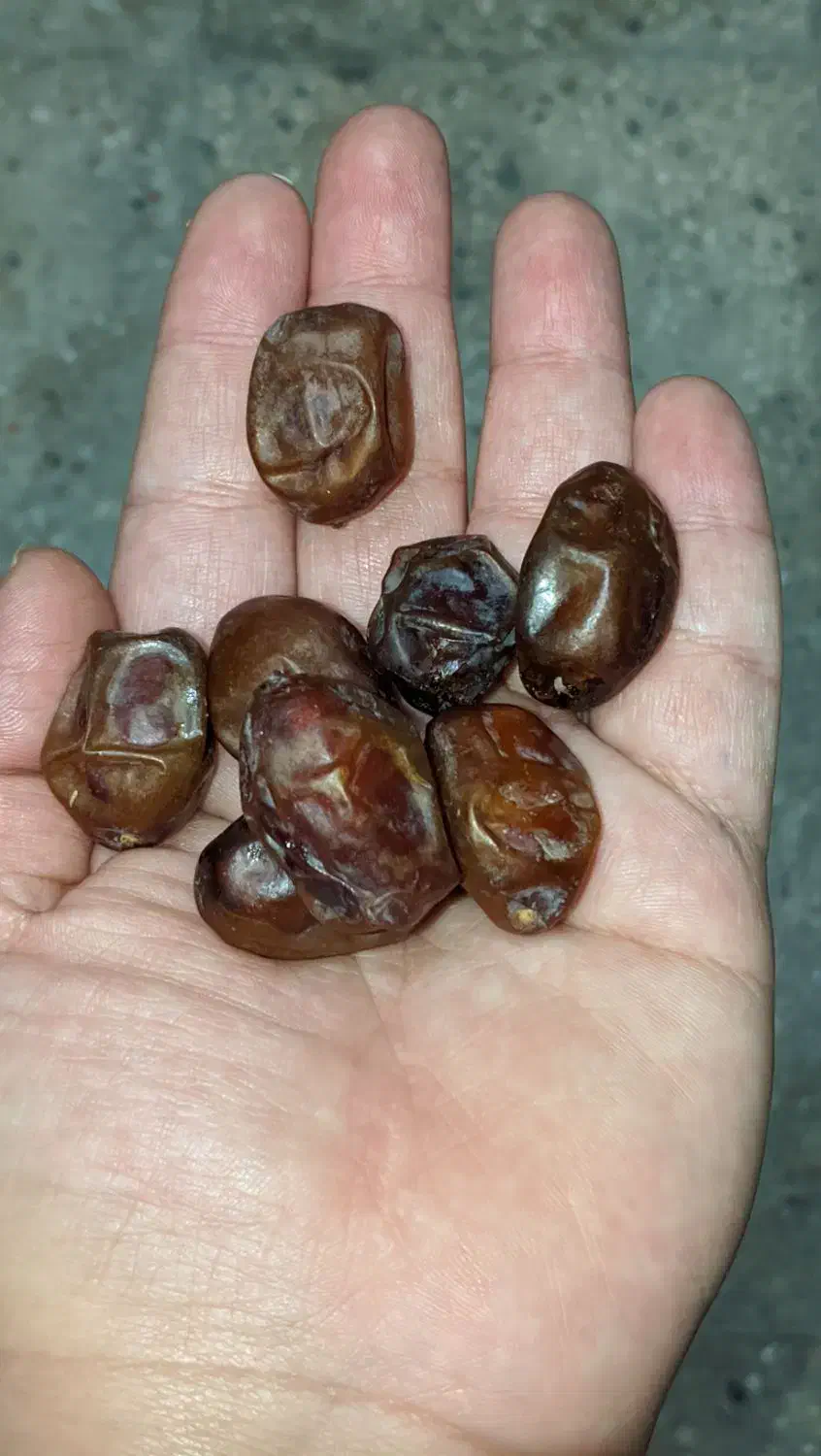 محصولات جنوب|خوردنی و آشامیدنی|محمدشهر, شهرک چمران|دیوار