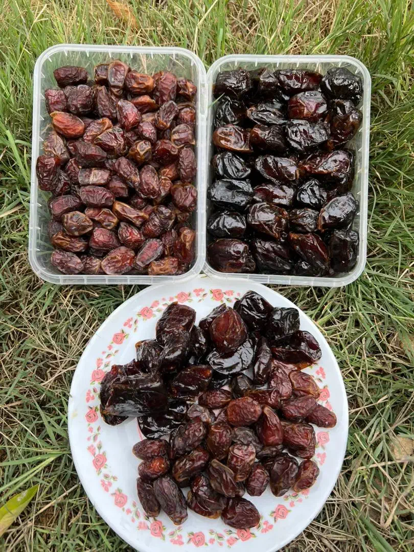 خرماِ دشتستان بوشهر|عمده‌فروشی|رشت, شهرک قدس|دیوار